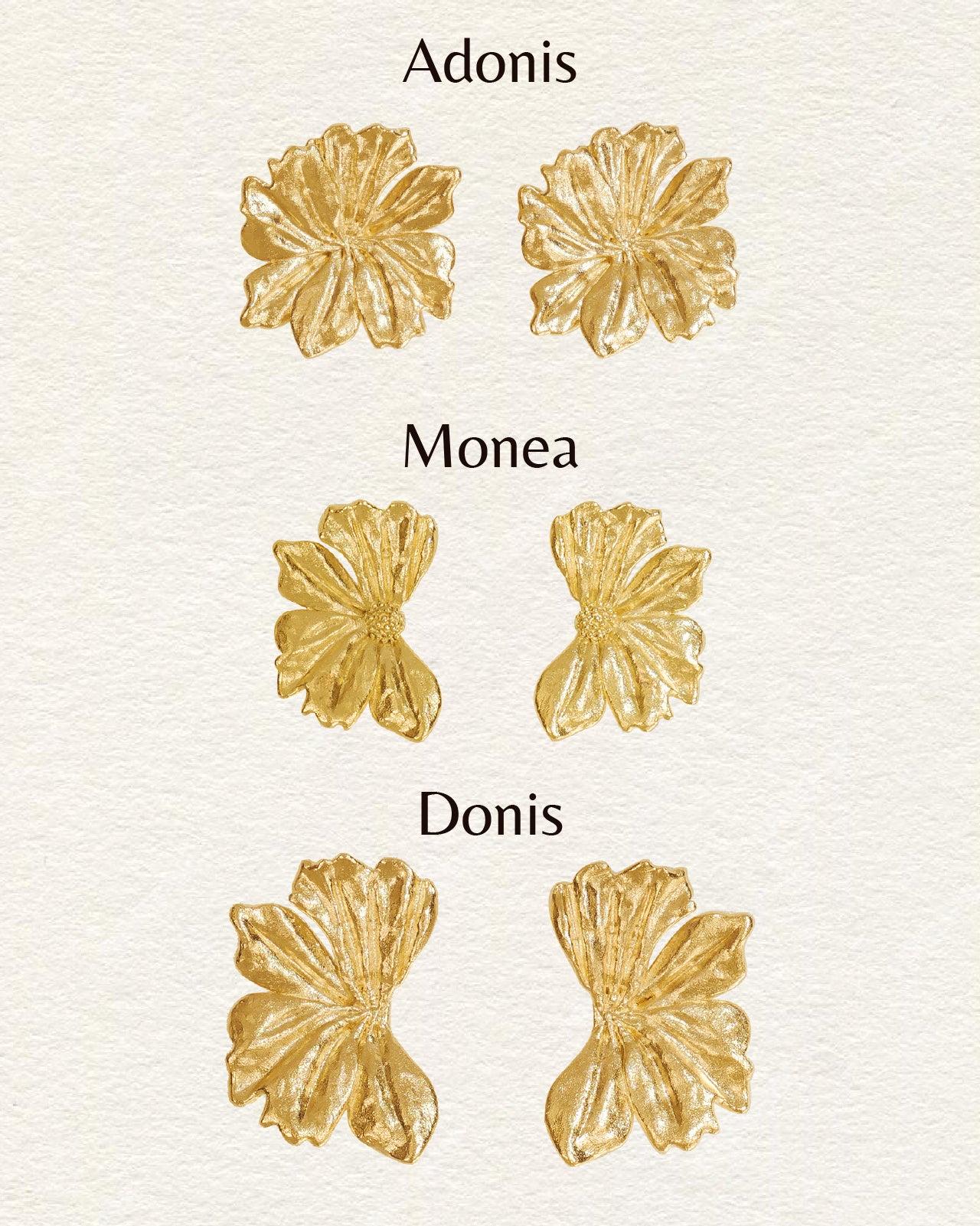 Adonis Earrings - Image 5
