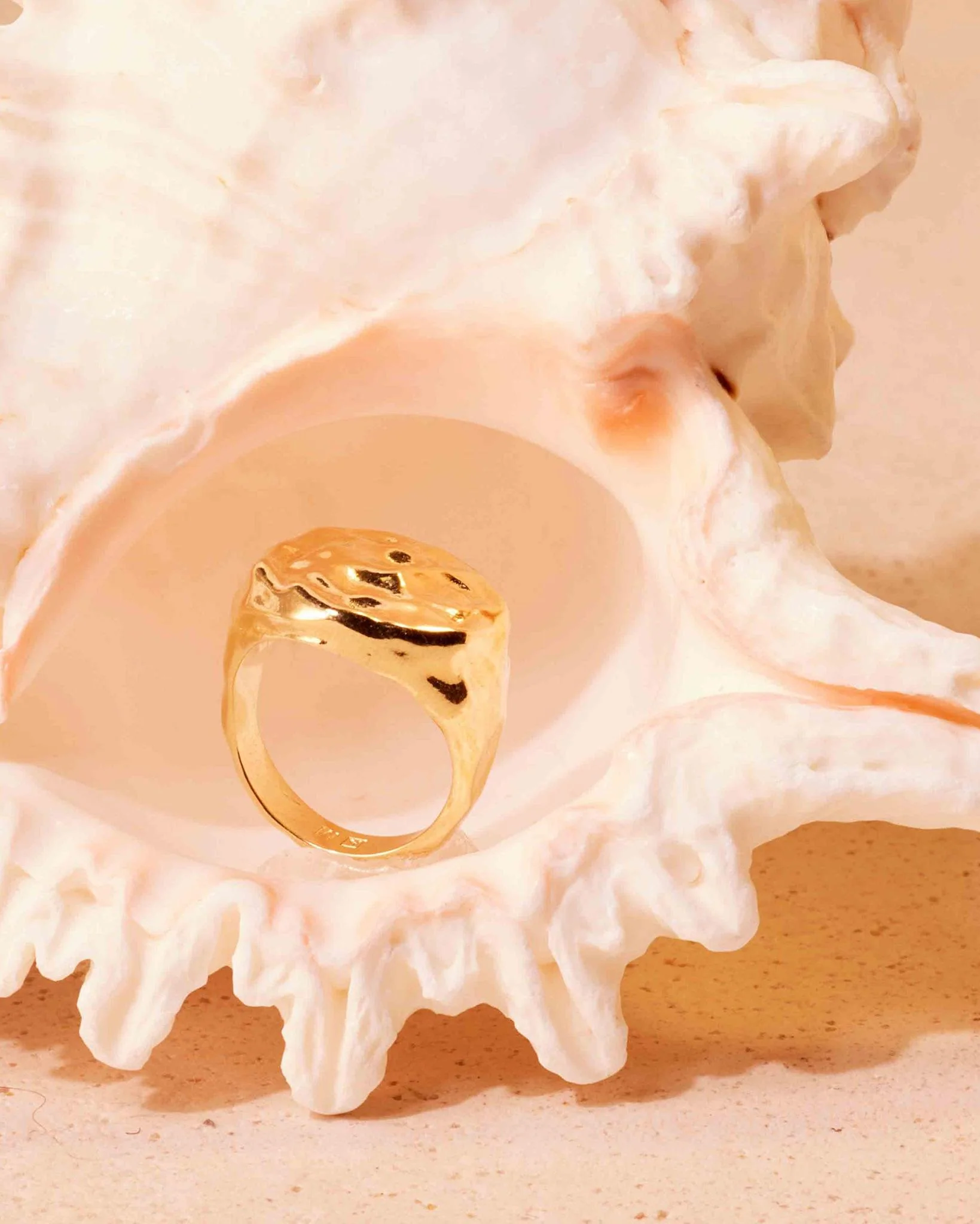Antonia Ring - Image 7
