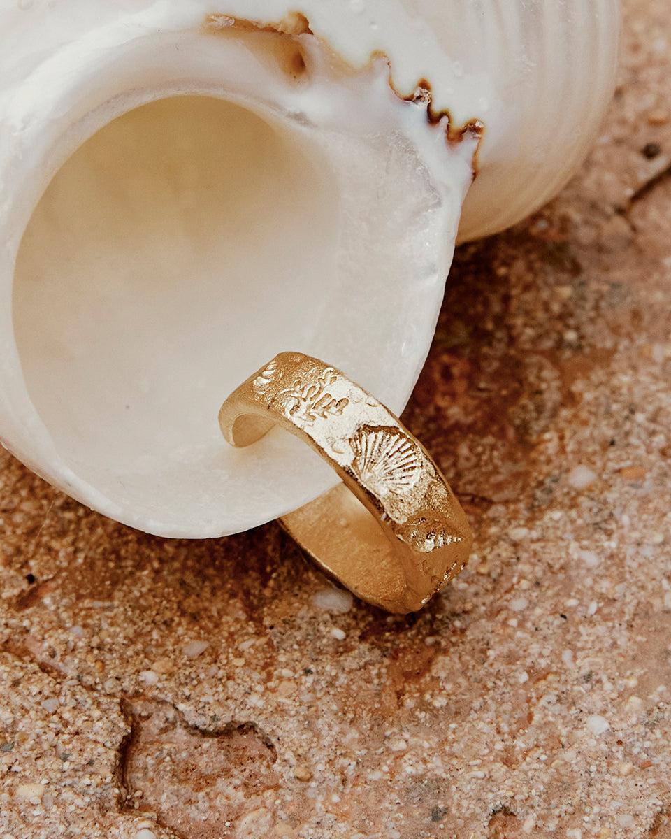 Nucella Ring - Image 2